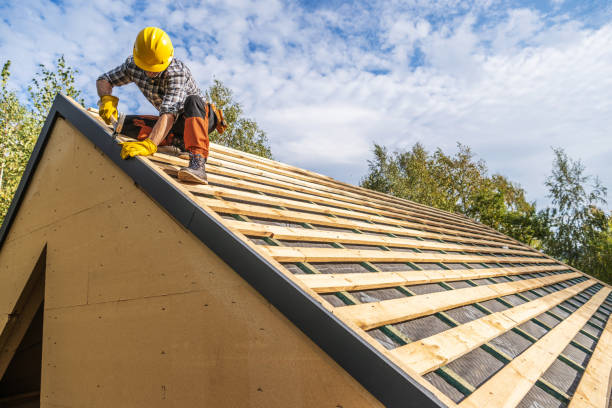Best Roof Gutter Cleaning  in Green Cove Springs, FL